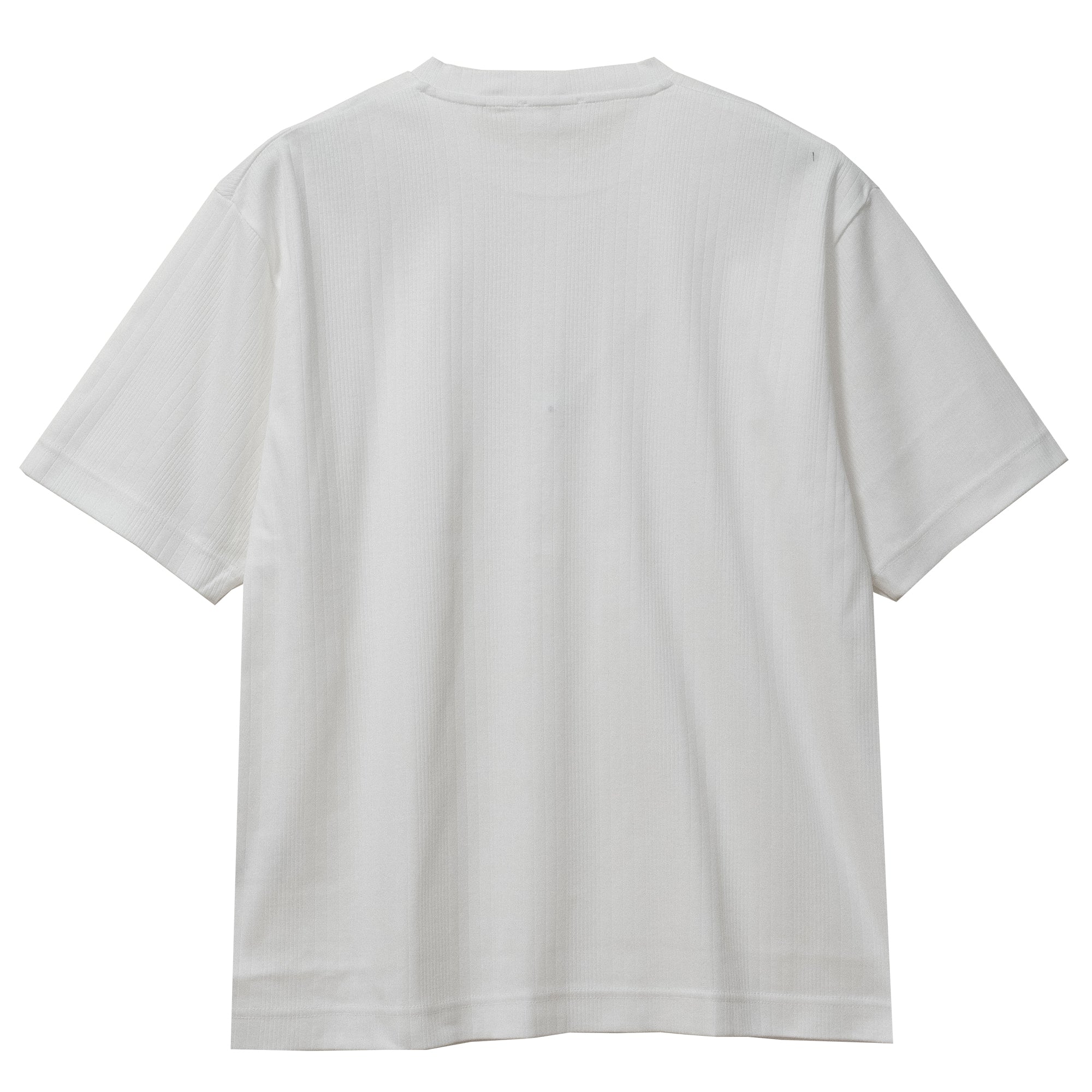COLONY CLOTHING / CREW NECK TEE / CC2501-T03