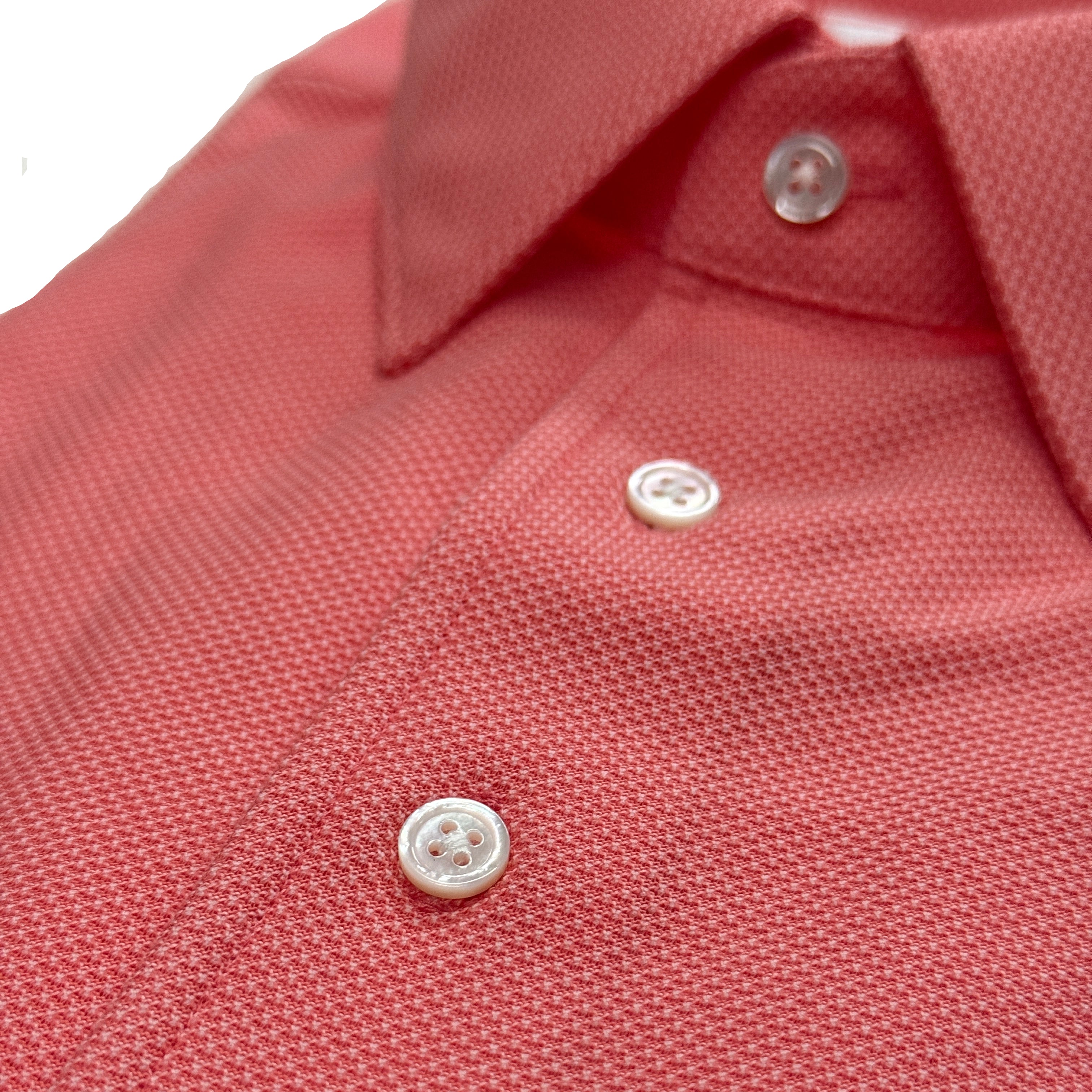 COLONY CLOTHING / ALBINI POLO SHIRT / CCSE-PL02