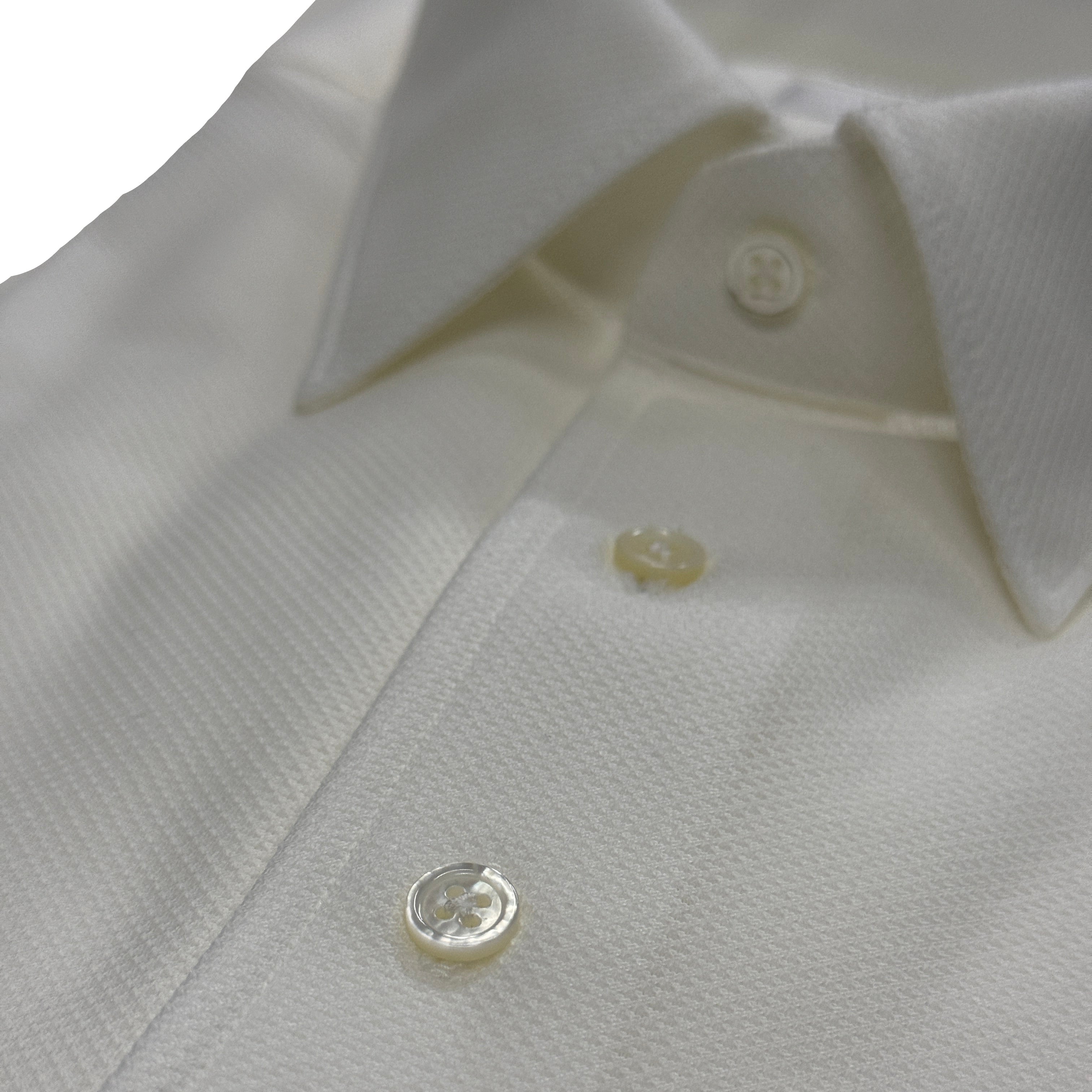 COLONY CLOTHING / ALBINI POLO SHIRT / CCSE-PL02