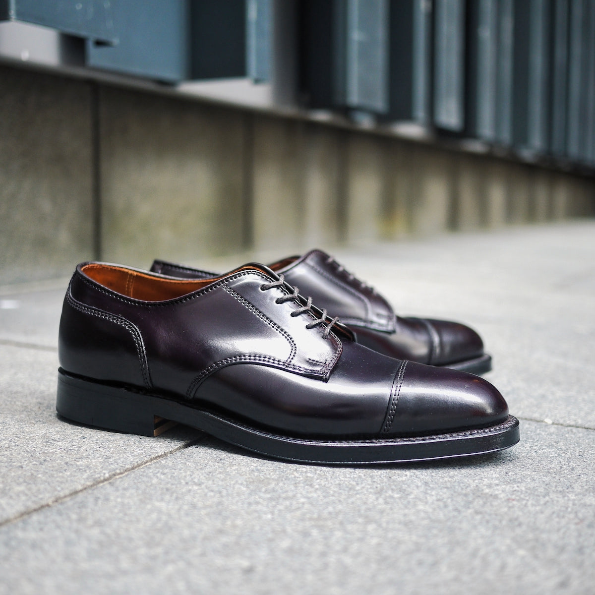 ALDEN 2160 CAP TOE BLUCHER COL 8 SHELL CORDOVAN