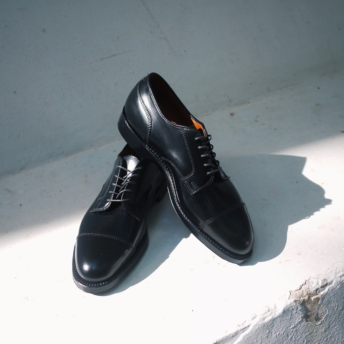 ALDEN 2161 Cap Toe Blucher Black Shell Cordovan