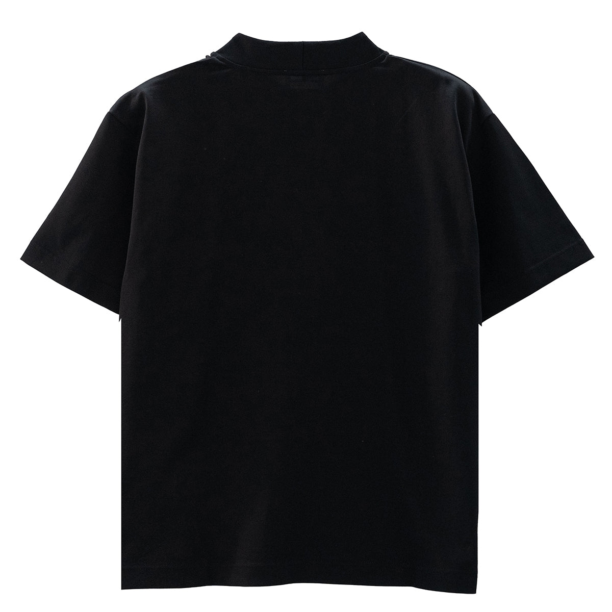 COLONY CLOTHING / MOCK NECK TEE / CC2301-T02